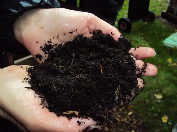 Compost