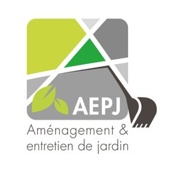 Aurélio AEPJ